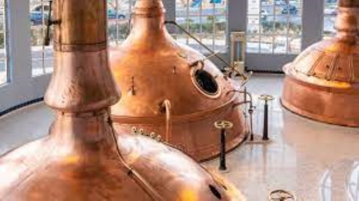 The Brewery Experience & Beer Tasting with Transfers