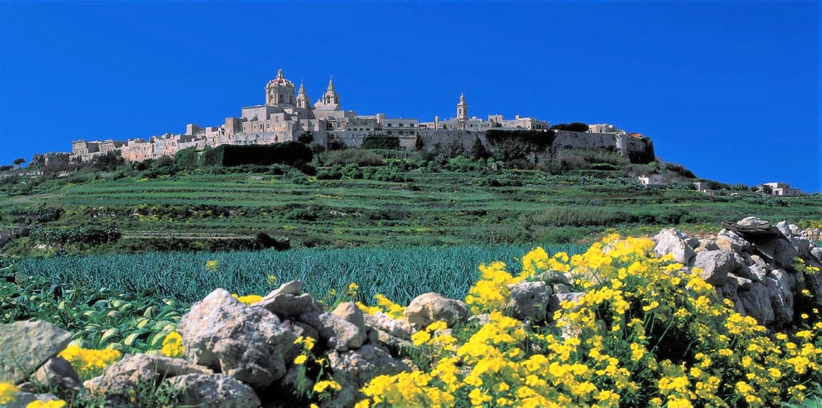 Mdina, Dingli Cliffs and San Anton Gardens Half-Day Guided Tour with Transfers