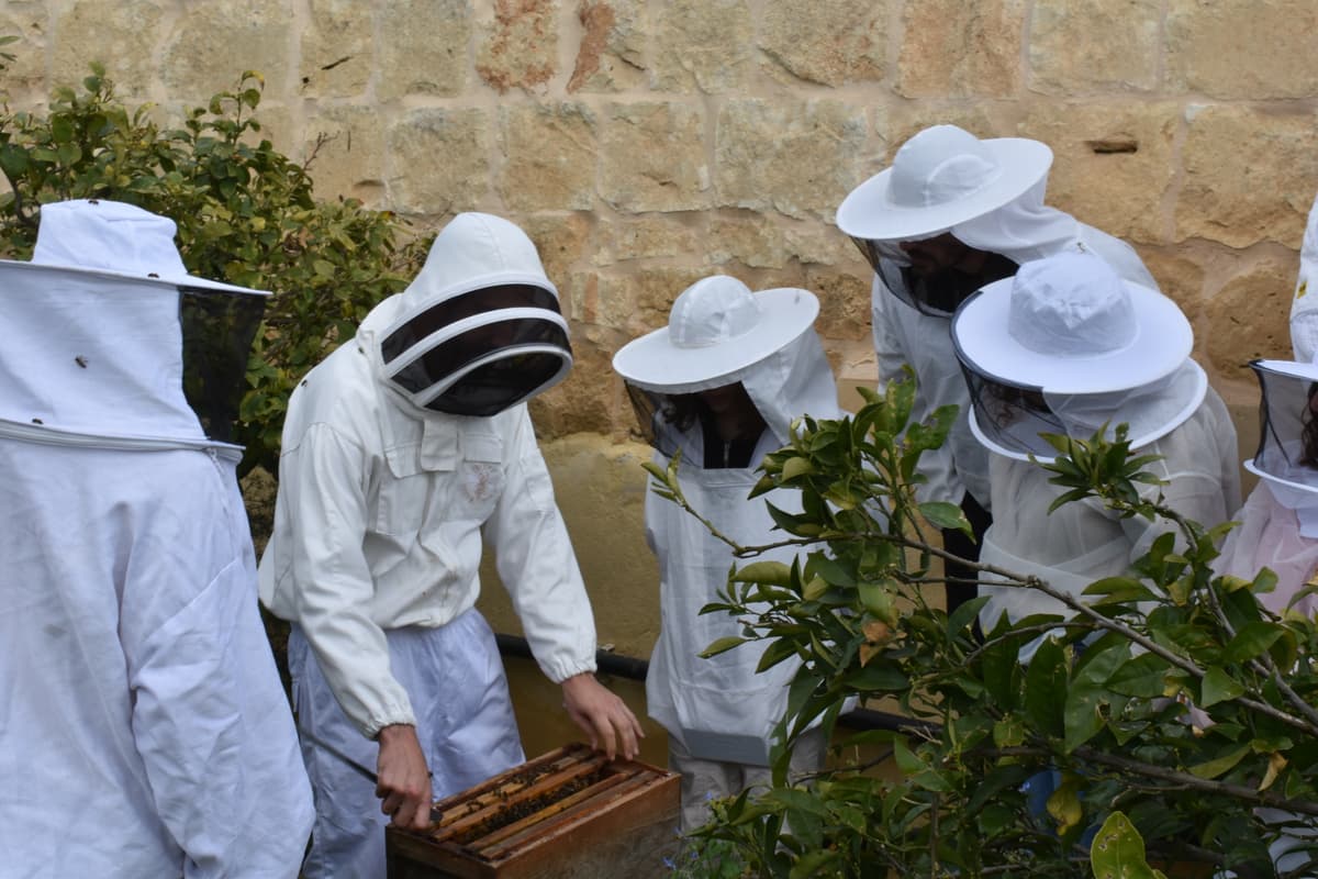 Apicul-Tour: Apitourism Experiences with the Maltese Honey Bee